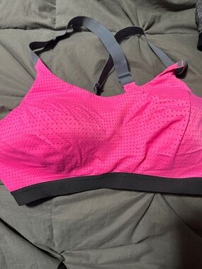 Women's Hot Pink Sports Bra with Black Band